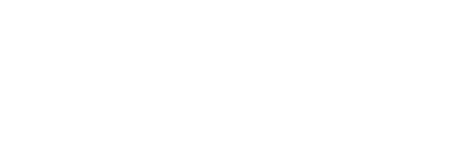 ECO-SULTING